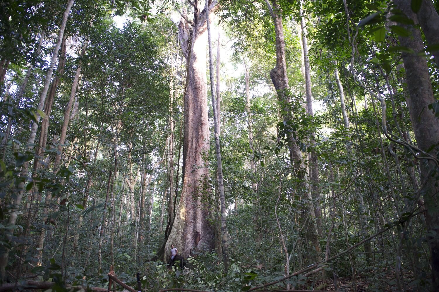 Logeye Stereo: on the road to success also in Africa