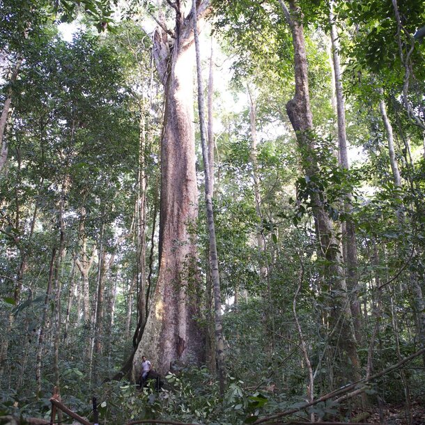 Logeye Stereo: on the road to success also in Africa