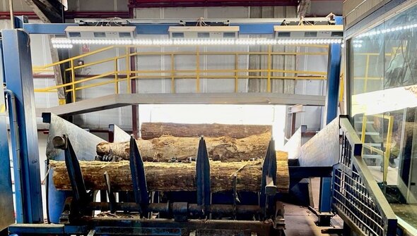 Logeye Stereo: 6% increase in yield at Maderas García Hermanos