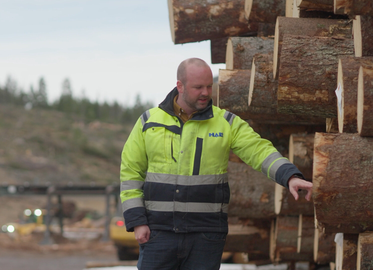 Logeye: Hilmer Andersson