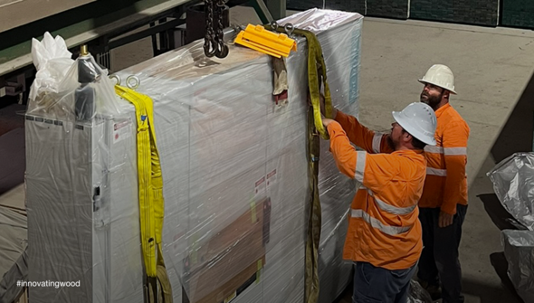 Lucidyne: Hyne Timber Choosing Again