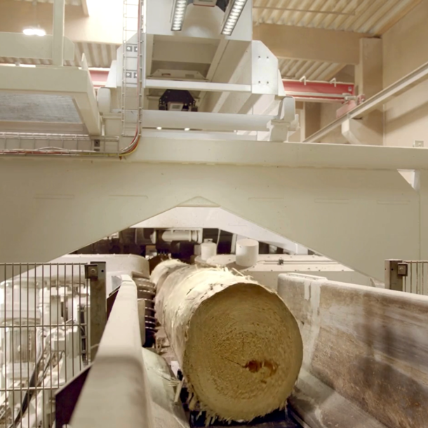 Truespin: Maximale Ausbeute mit LINCKs Log Motion Control