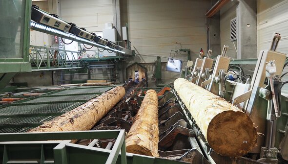 Logeye Stereo: La mesure du contour complet optimise la coupe