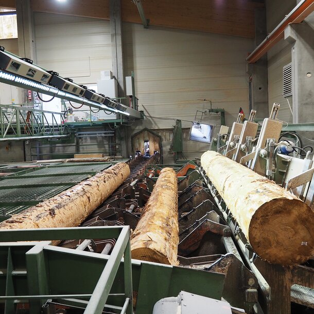 Logeye Stereo: Full-contour measurement optimizes the cut