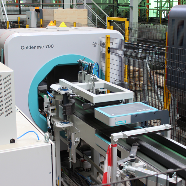 Twin Pack of Goldeneye