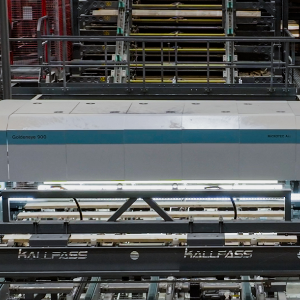 Goldeneye Transverse: Optimized Processes at best wood Schneider