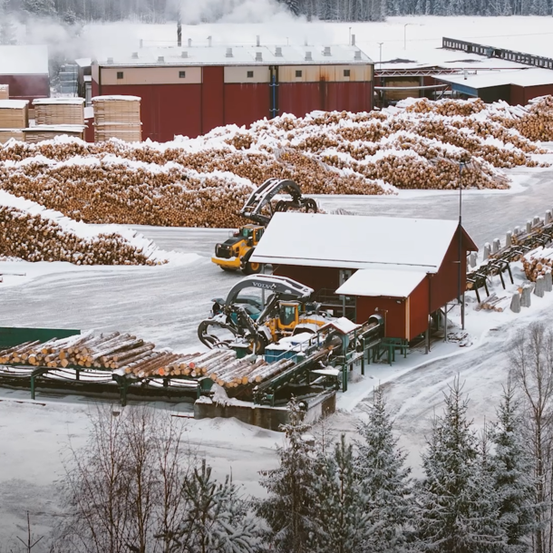Logeye: Successful underbark measurement at Karl Segerström