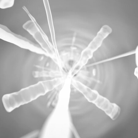 See what’s inside a log before sawing