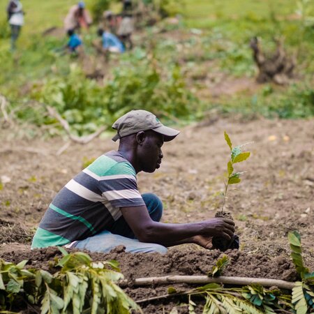 Creating a greener tomorrow